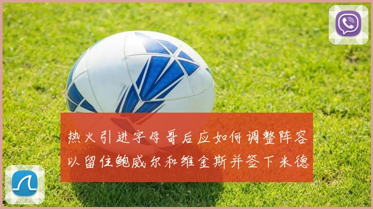 热火引进字母哥后应如何调整阵容以留住鲍威尔和维金斯并签下米德尔顿