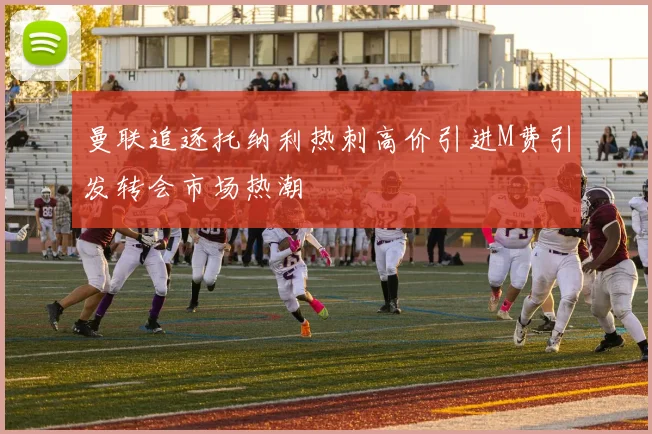 曼联追逐托纳利热刺高价引进M费引发转会市场热潮
